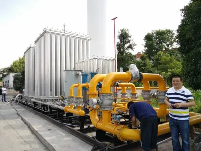 LNG Regasification Station with Regulating Metering Units All Valves and Safety Control Units