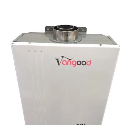 China Manufacturer Best Hot Bath Shower Geysers Gaz Water Heater