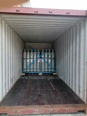  99.999% 5n Purity40L/47L/50L Cylinder Gas Neon Gas Ne Gas