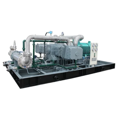 Hot-Selling Skid-Mounted Oil Free Hydrogen Argon Gas Plant CNG Natural Gas Compressor for Sale