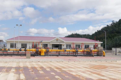 Natural Gas Cyclone Separator for Gas Station
