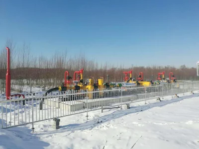 Natural Gas Cyclone Separator for Gas Station
