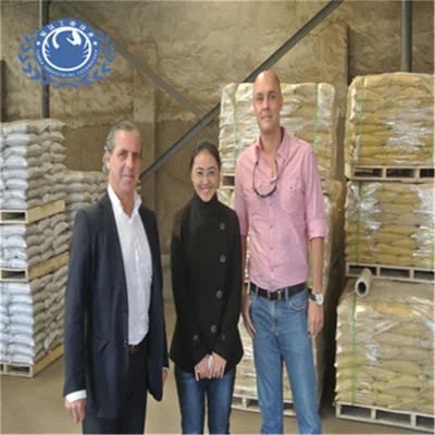 SGS/ISO9001 Blasting Grade a+ Garnet Sand 30/60 Mesh