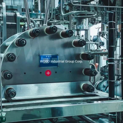 Skid-Mounted High Purity Hydrogen Electrolyser Pem Electrolysis Cell Ammonia Decomposition Hydrogen Electrolyzer