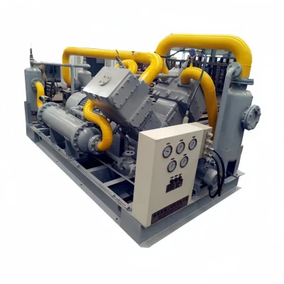  Skid-Mounted 250bar (25 MPa) Reciprocating Piston Natural Gas Compressor for CNG Substation