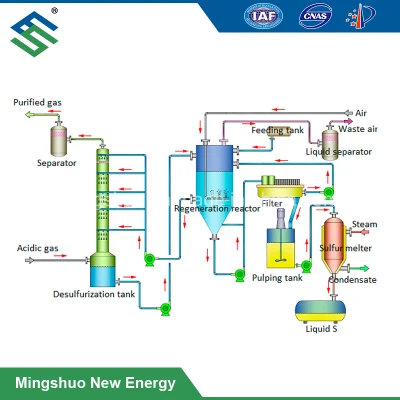 Chelate in Regenerative H2s Scrubber for Industrial Biogas