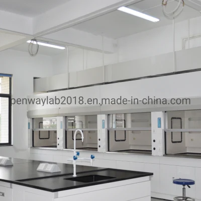  Anti-Corrosion Full Stainless Steel Fume Hood Lab Equipment