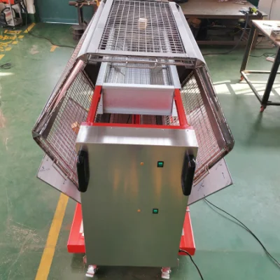 Customized Picnic Family Gathering Using Gas Rotating Barbecue Grill