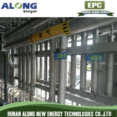  Membrane Separation Biogas Upgrading Decarburization Purification System to Natural Gas (CNG)