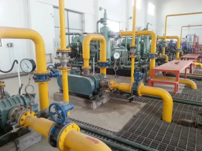  Biogas Upgrading/Decarburization/Purification System to Natural Gas/CNG