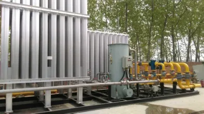  Skid-Mounted Mobile LNG Regasification Station with Pressure Reduce System for Transitional Gas Supply Facility