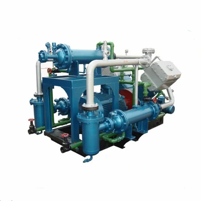 Hot-Selling Skid-Mounted Oil Free Hydrogen Argon Gas Plant CNG Natural Gas Compressor for Sale