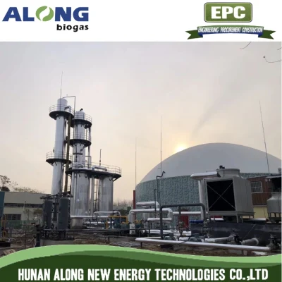  Biogas-Natural Gas Upgrading Purification System