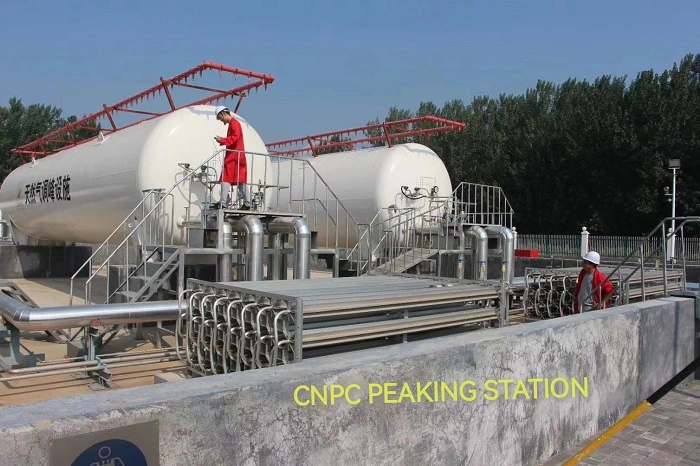 LNG Regasification Station with Regulating Metering Units All Valves and Safety Control Units