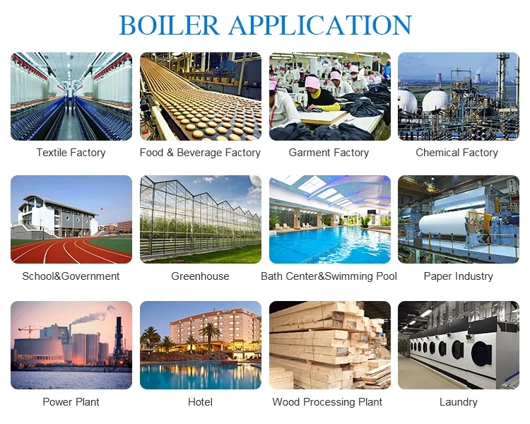 100 HP Skid-Mounted Type Oil &amp; Gas Fired Steam Boilers for Rent
