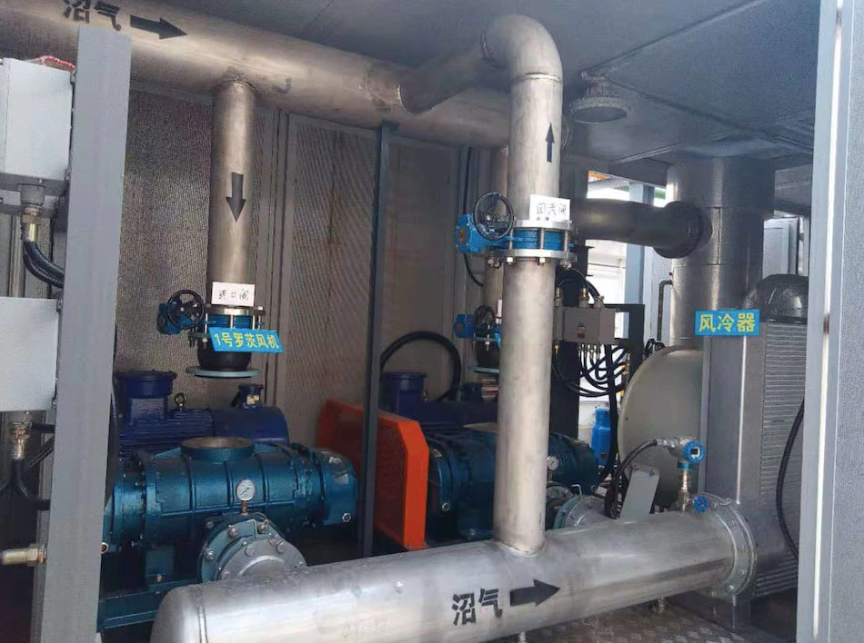 Membrane Separation Biogas-Natural Gas Purification Decarburization System