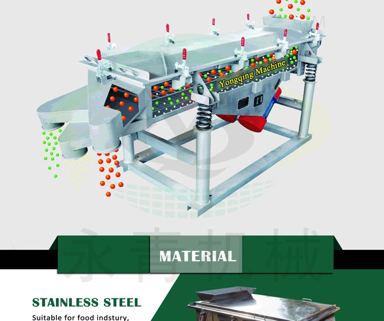 Stainless Steel Linear Vibrating Separator for Oyster