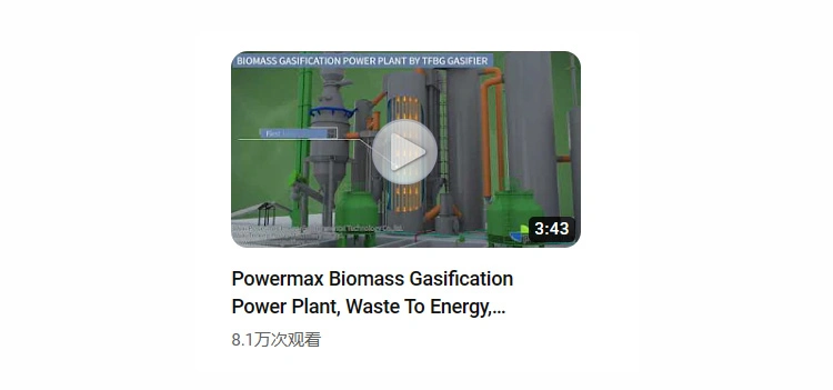 Biomass Gasification Furnace Power Generation/Cogeneration Solution
