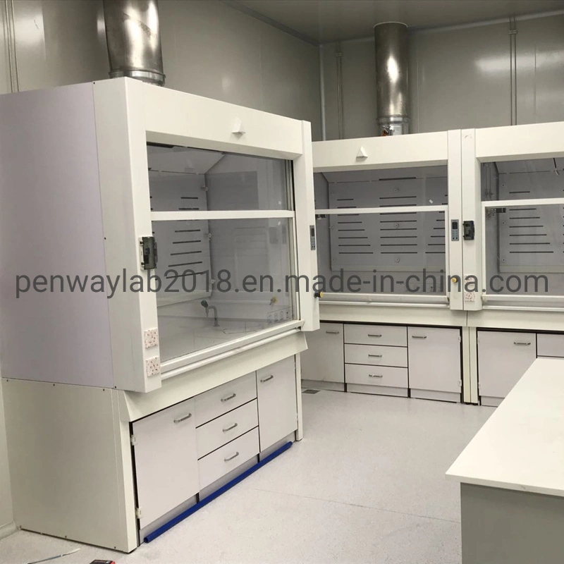 Anti-Corrosion Full Stainless Steel Fume Hood Lab Equipment