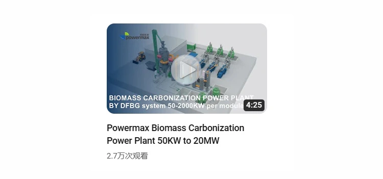 Guazi Shell Power Generation Solution Biomass Gasification Power Generation