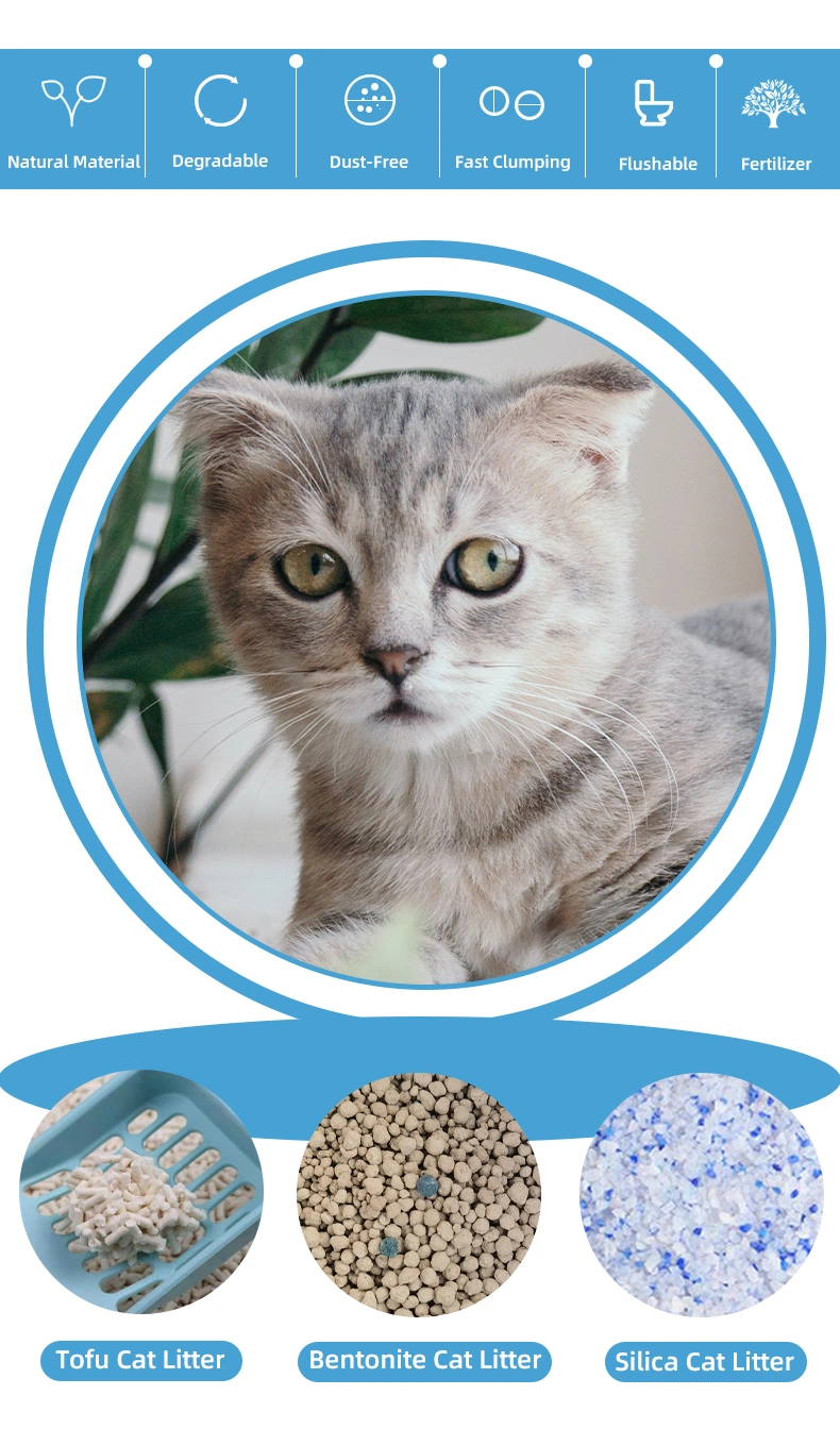 Popular Colorful Hot Selling Odor Removal Strong Absorbent Dust Free Pearl Silica Gel Crystals Grain White Silicone crystal Silica Gel Kitty Litter Pet Sand