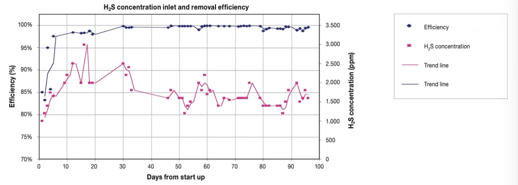 Biological Biogas Desulfurization H2s Removal and Psa Decarburization Upgrading System to Natural Gas