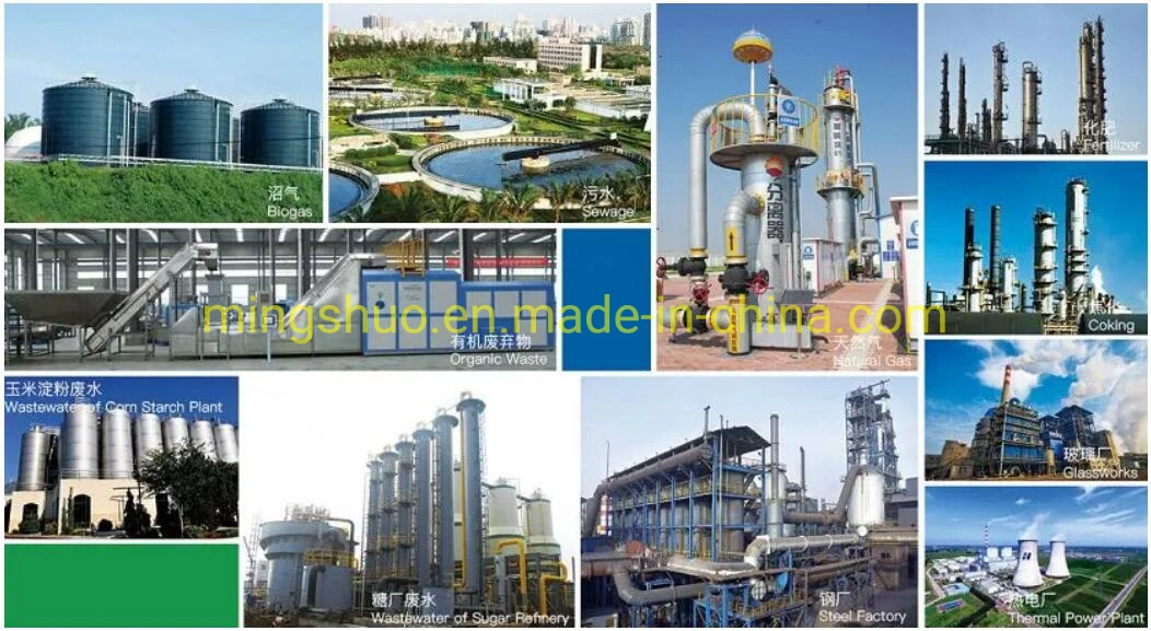 Customized Dry Desulfurization Equipment for Hydrogen Sulfur Removal Natural Gas Application