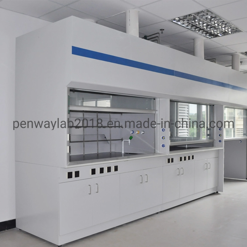 Anti-Corrosion Full Stainless Steel Fume Hood Lab Equipment