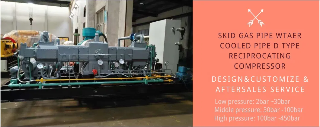 Skid-Mounted Water Gas Natural Gas Booster Compressor (3LW-7.5/1-16)