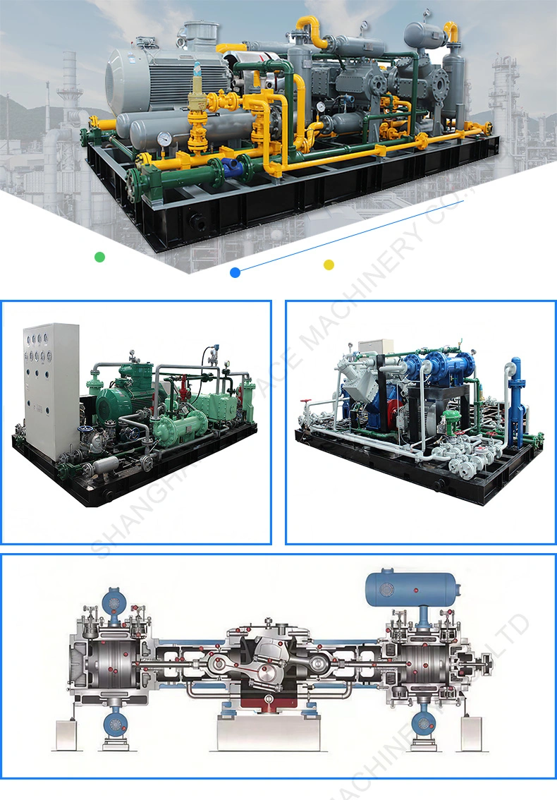 Gathering and Transportation Technology System Oil Field Piston Natural Gas Compressor