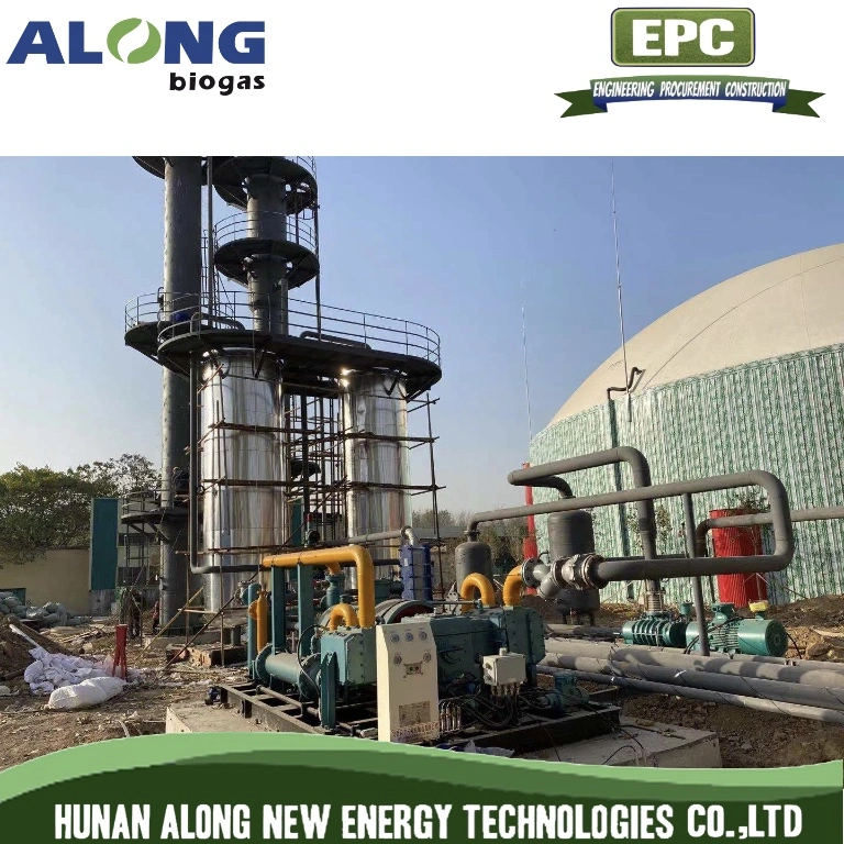 Biogas Chemical Desulfurization and Purification System to Natural Gas (CNG)