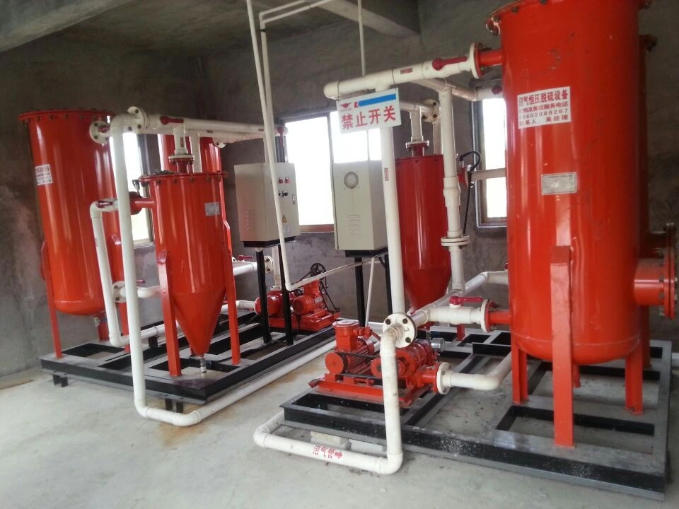 Biogas Desulfurization System/De-Moisture/Pressure Adjust Combined Treatment Equipment