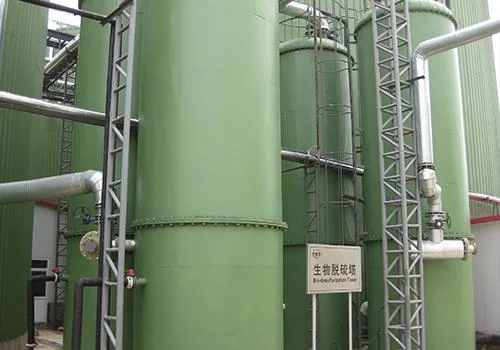 Biological Biogas Desulfurization H2s Removal and Psa Decarburization Upgrading System to Natural Gas