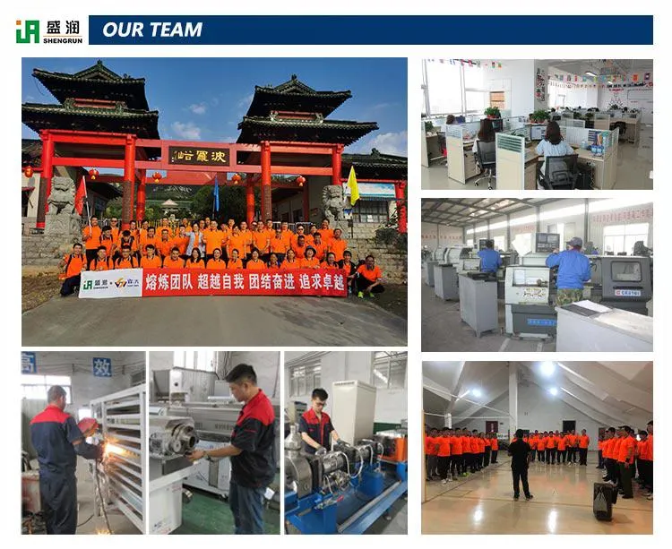 2-3 T/H Large Capacity Fish Feed Processing Machine Extruder Production Line