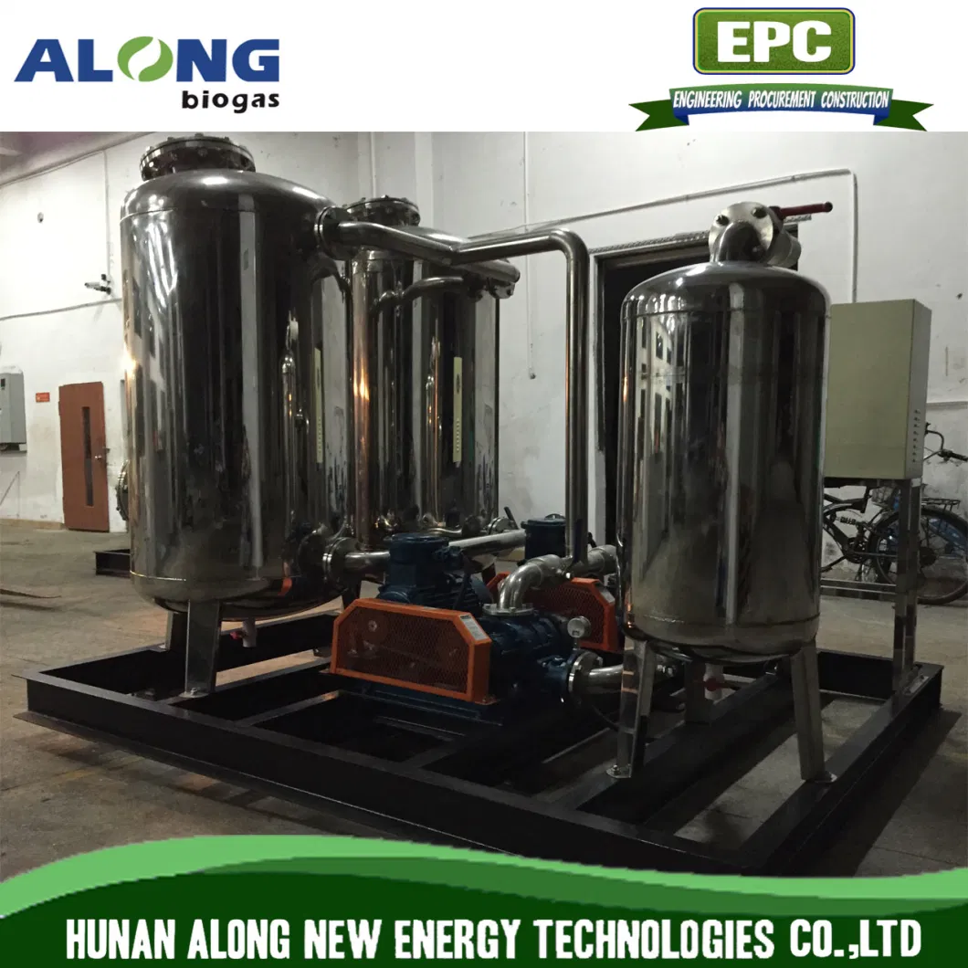 Stainless Steel Skid-Mounted Biogas Scrubber Pre-Treatment Desulfurization De-Sulphur System Purification Equipments