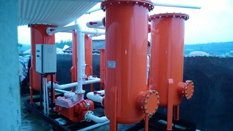 Biogas Desulfurization System/De-Moisture/Pressure Adjust Combined Treatment Equipment