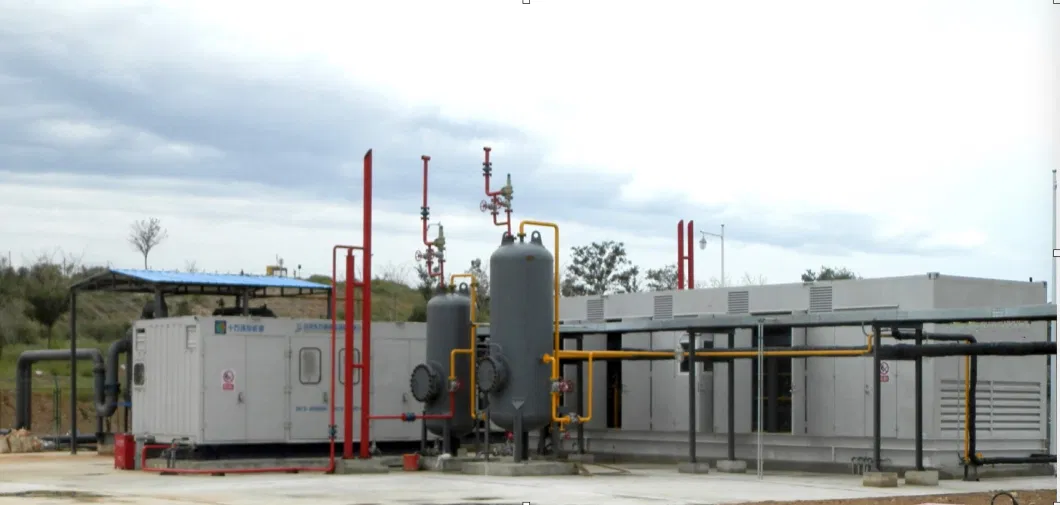 Psa Biogas Upgrading System to Natural Gas /CO2 Removal CH4 Separation