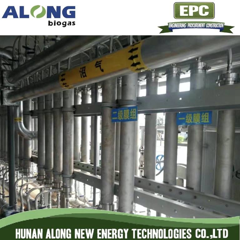 Membrane Separation Biogas Upgrading Decarburization Purification System to Natural Gas (CNG)