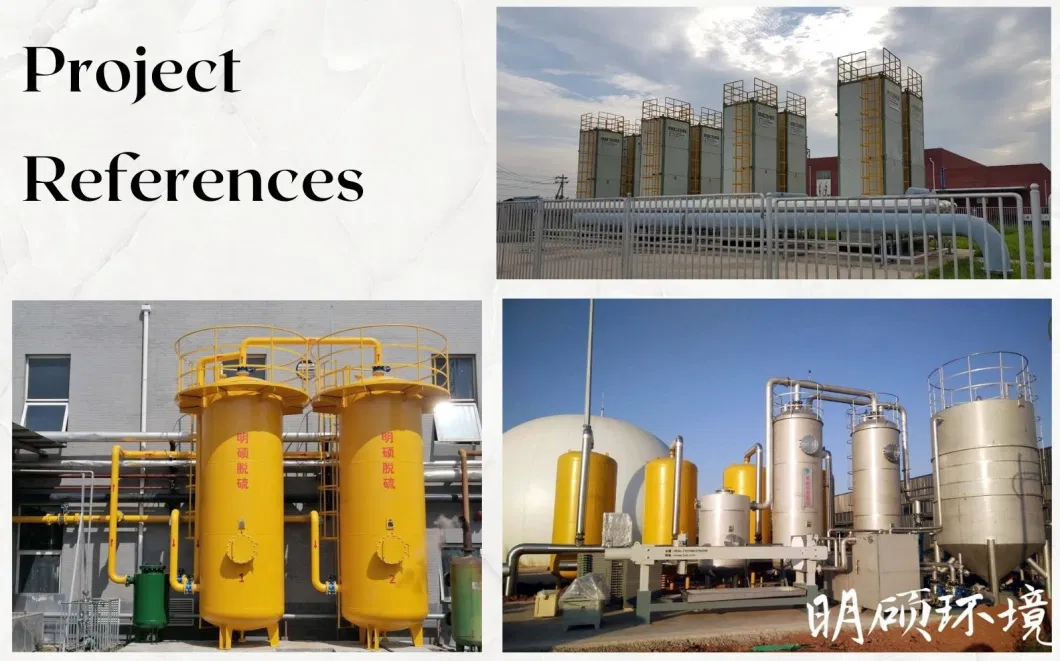 Ambient Temperature Iron Oxide Drsulfurizer Natural Gas H2s Scrubber for Natural Gas