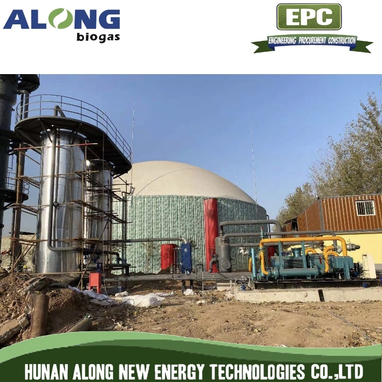 Biogas Chemical Desulfurization and Purification System to Natural Gas (CNG)