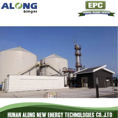 La separación de la membrana biogás Decarburación De-Carbon Actualización/purificación a Gas Natural/sistema de GNC