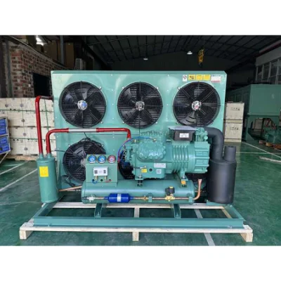 Unidad de condensación de compresor de refrigeración semihermética para sala fría de -25 grados