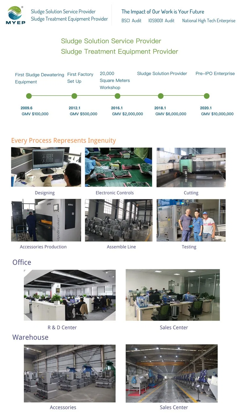 Automatic Polymer Dosing Unit Equipment System