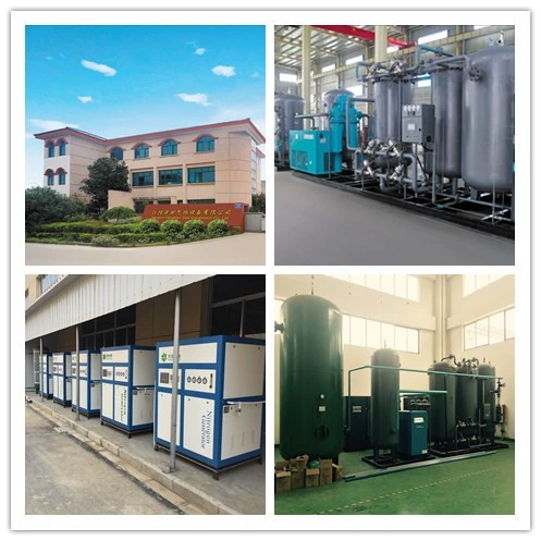 Fruit Processing Equipment with Competitive Price