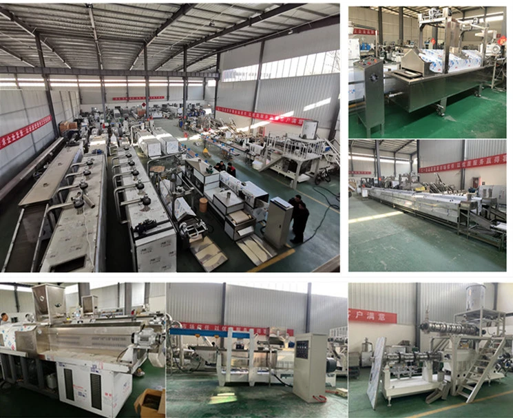 Vitamin Reconstituted Nutrition Frk Rice Making Processing Equipment