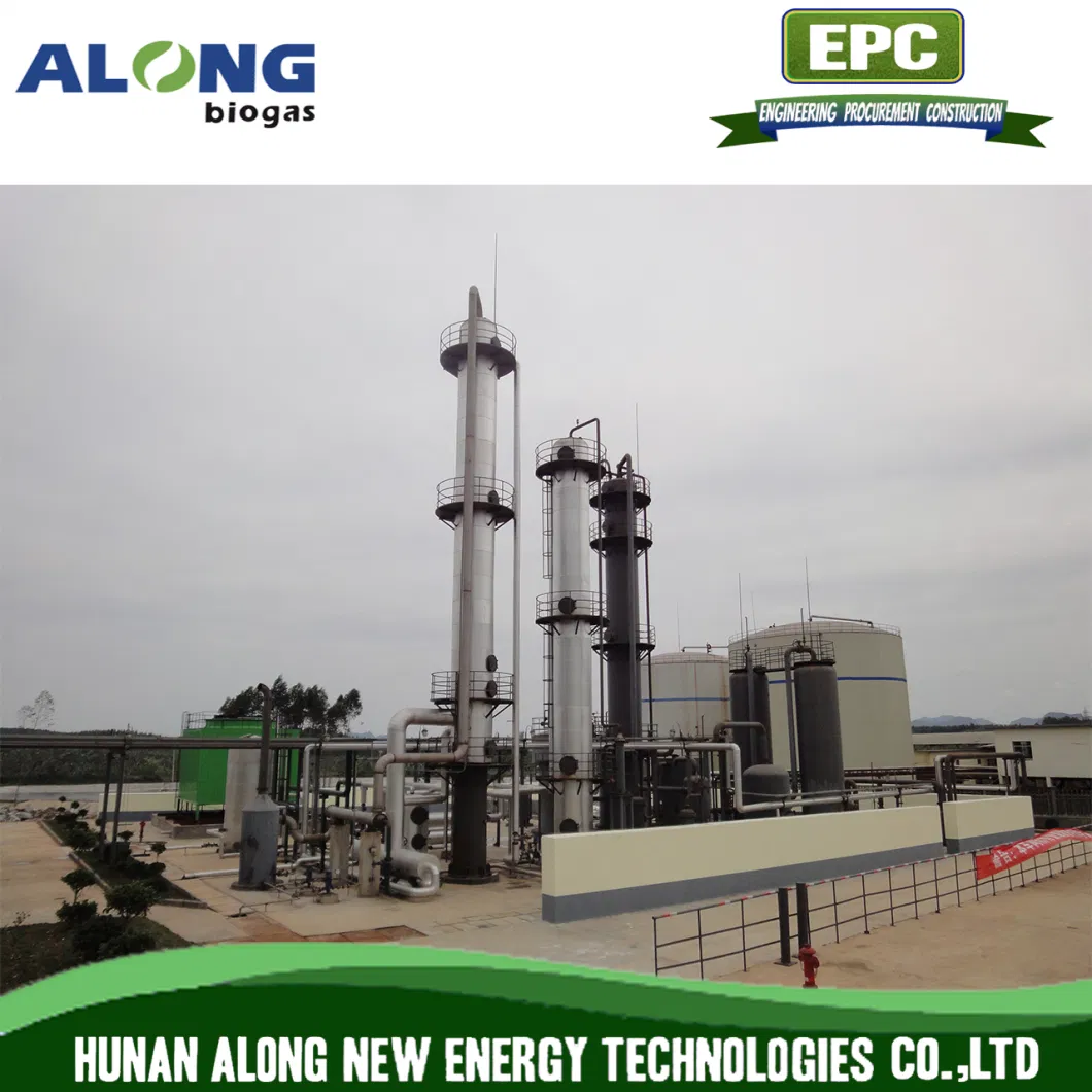 Biogas Chemical Absorption Upgrading Purification System to Natural Gas (CNG)