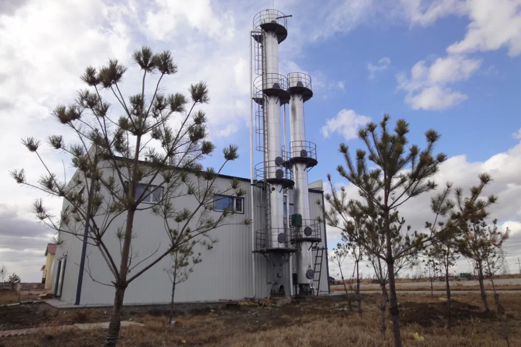 Biogas Upgrade to Natural Gas De-Carbon System