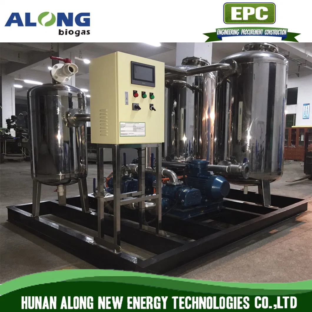 Biogas Desulfurization System Skid Mounted Comprehensive Sulphur H2s Purification Equipment