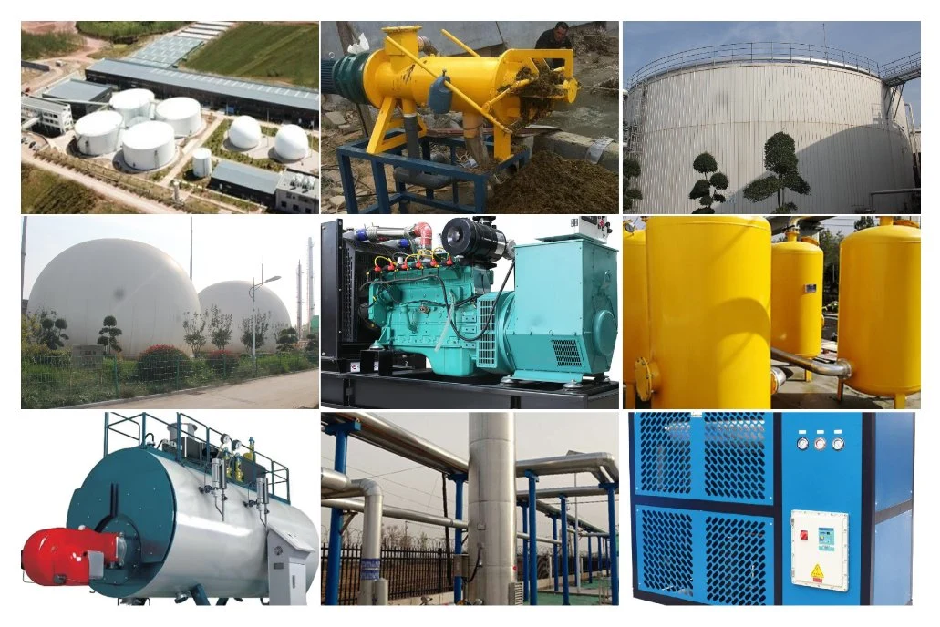 CNG Compressed Natural Gas/Biogas CHP Combined Heat&Power by Comprehensive Biogas Project