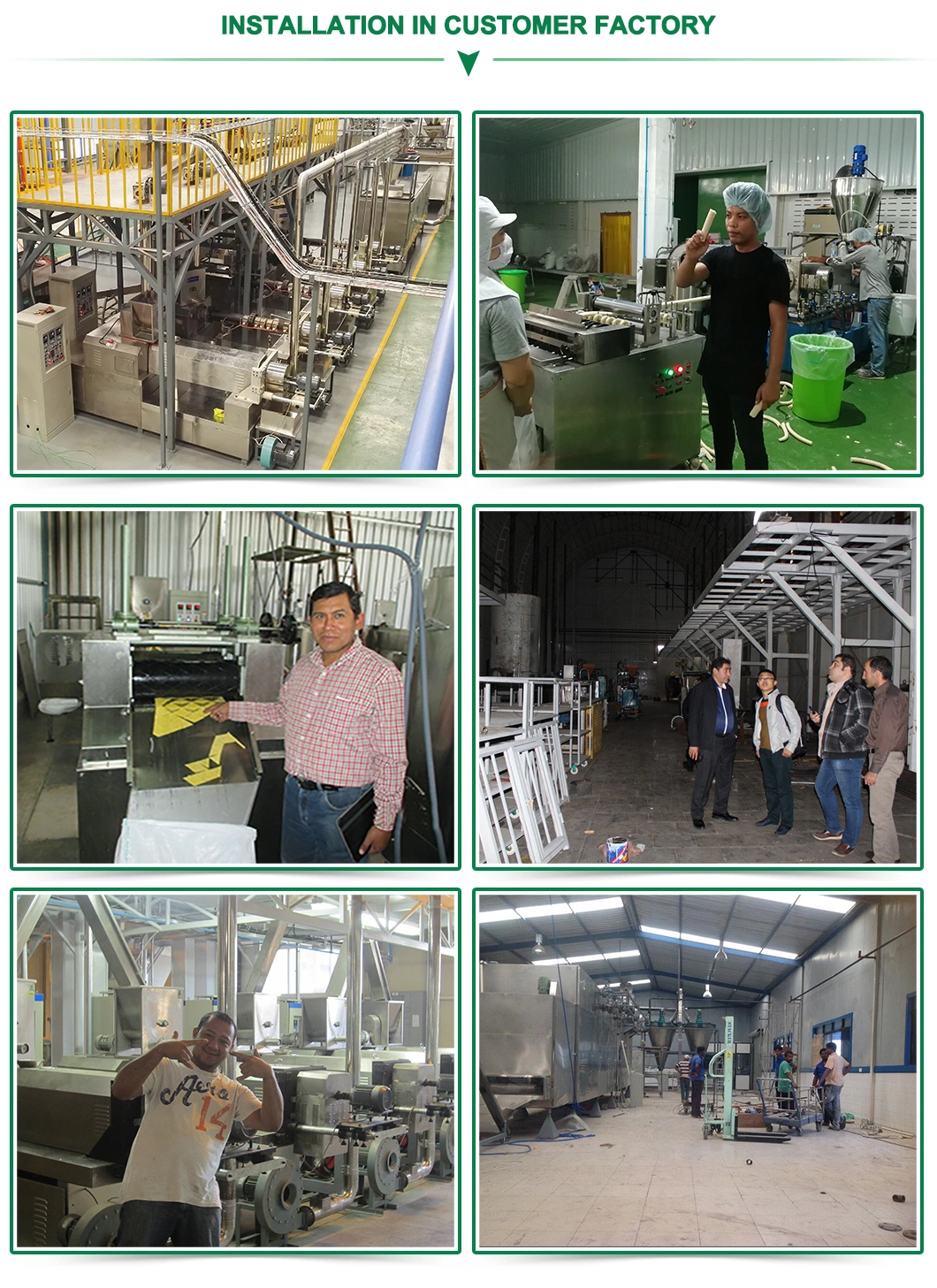 Super Quality Natural Dog Food Homemade Snacks Extruder + Special Machine Cat Feed Process Line Agent Wanted Snack Production Making Equipment